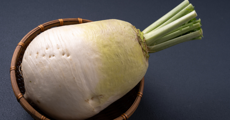 知っておきたい京野菜の種類：伝統野菜からブランド野菜まで