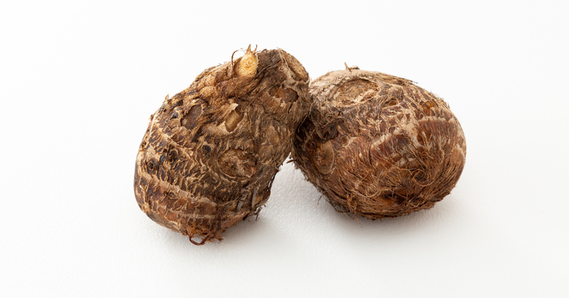 タロイモとキャッサバ：世界の食を支える根菜の多様性と利用法