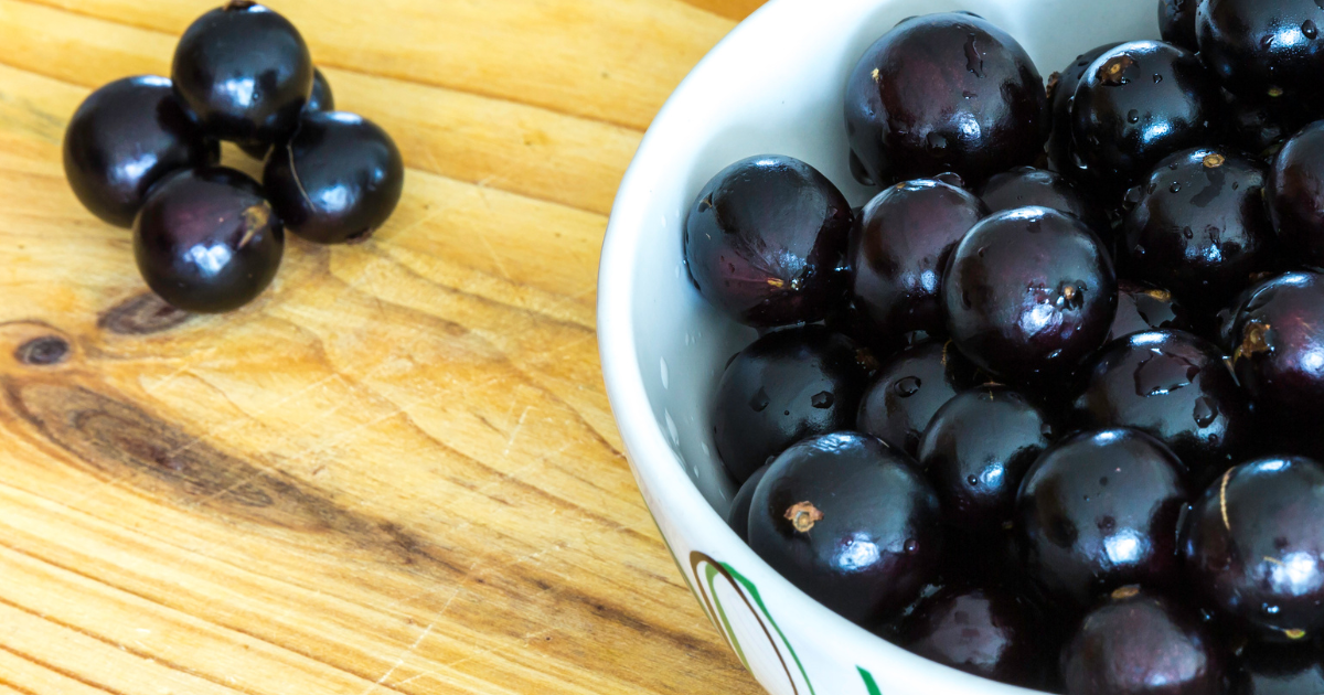 スチューベンぶどう