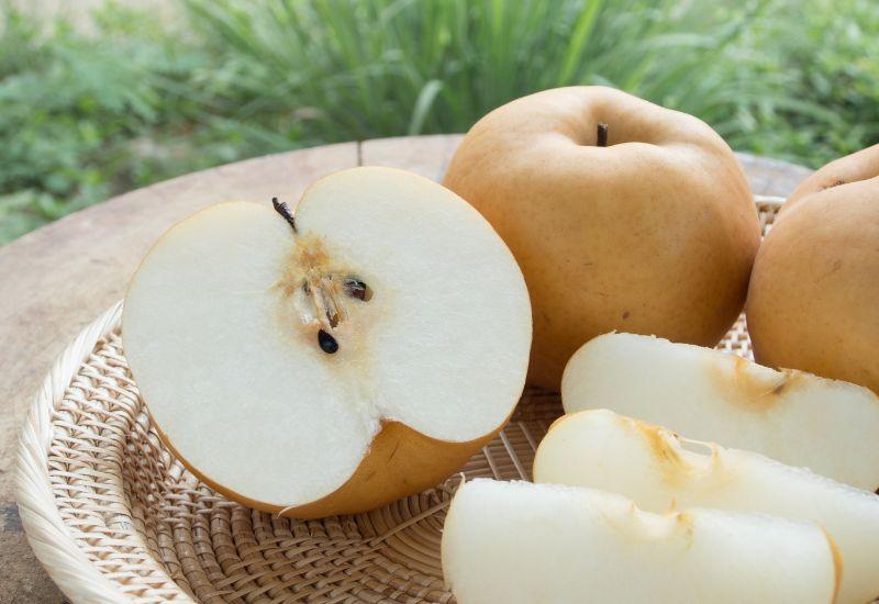 梨の栄養素 - スイーツモール