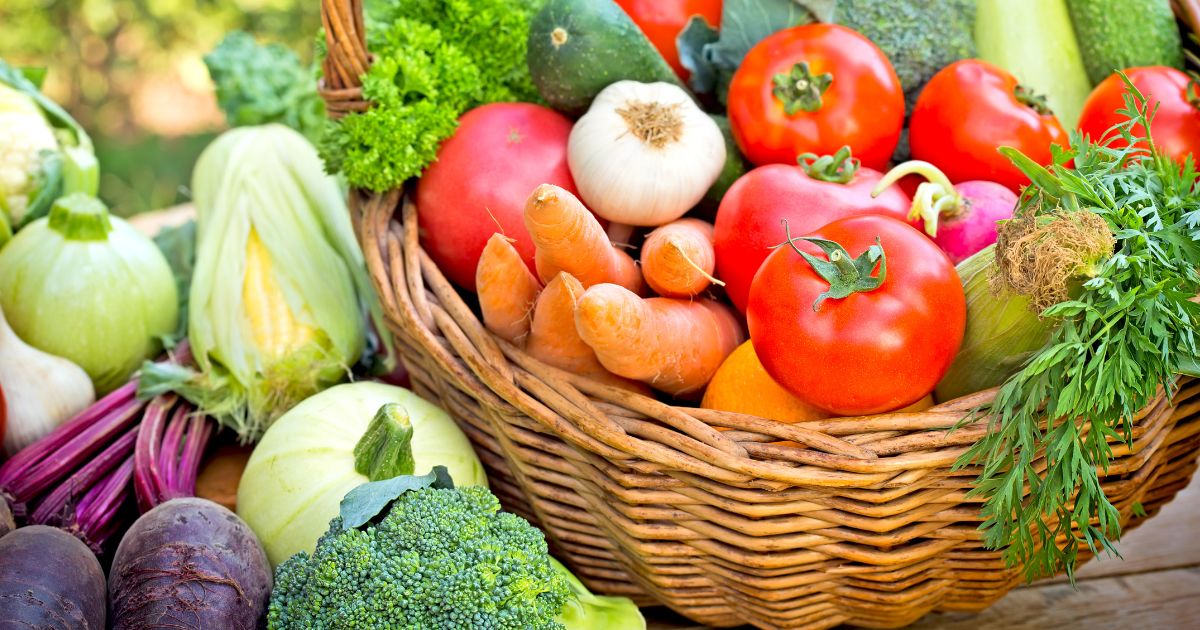 種まき 春 野菜