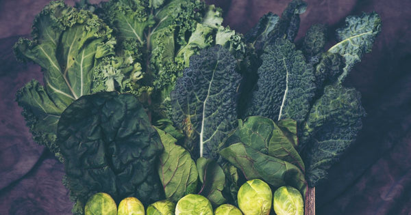 葉物野菜一覧
