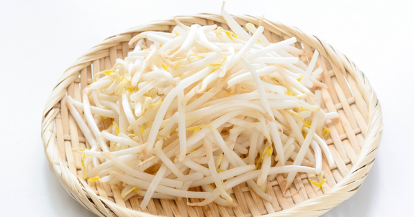 もやし冷蔵保存