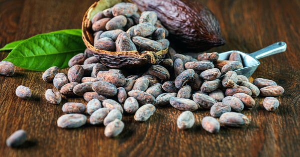 発酵カカオ豆：風味と健康を追求した奇跡の豆
