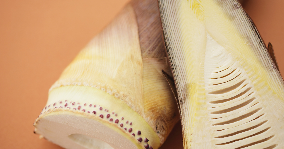 もう失敗しない！筍の簡単アク抜き完全ガイド：米ぬか不要の裏技も