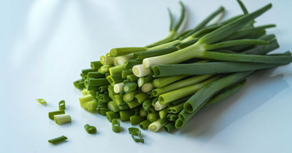 ネギは何科？種類、栽培、栄養、調理法を徹底解説