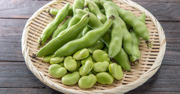 そら豆を味わい尽くす！旬の楽しみ方、皮むき、茹で方、焼き方、保存方法を徹底ガイド