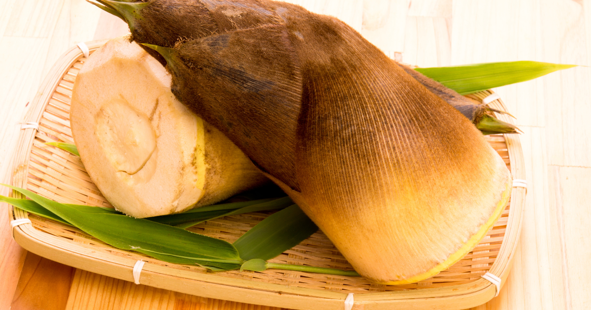 【完全ガイド】たけのこの下処理：あく抜きから始める極上の味わい