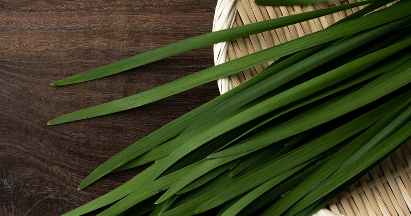 ニラの栄養を徹底解剖！効果効能から保存方法、おすすめレシピまで