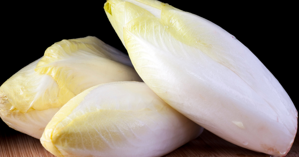 チコリー：多様な用途を持つキク科の植物