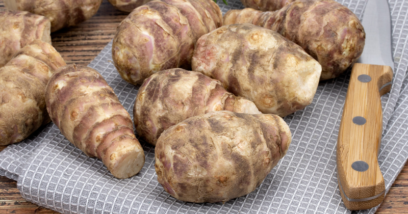 菊芋（キクイモ）とは？特徴・食べ方・おすすめレシピを徹底解説！