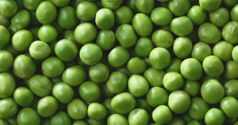 家庭菜園でグリーンピース栽培を成功させる：コツと収穫時期の見極め方