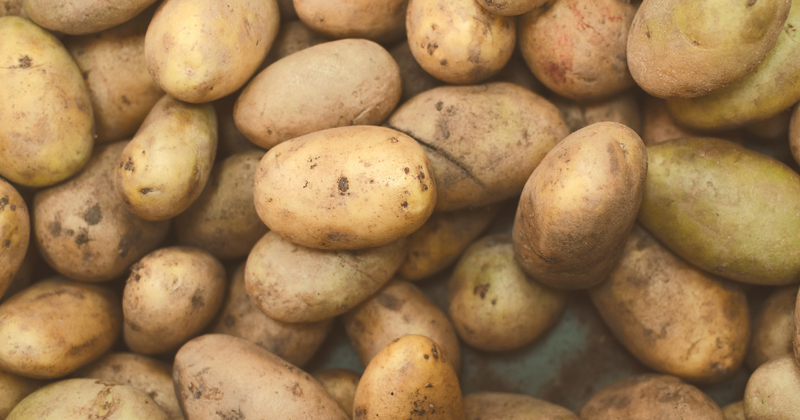 ジャガイモとは？知られざる魅力と栄養、調理法を徹底解説