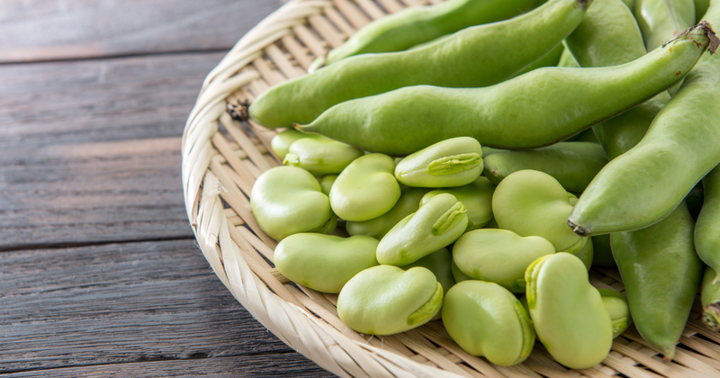 ソラマメとは？名前の由来から種類、栄養価まで徹底解説