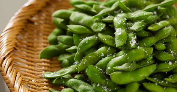 枝豆栽培成功の鍵：発芽率を高める種まきテクニックと育成のコツ