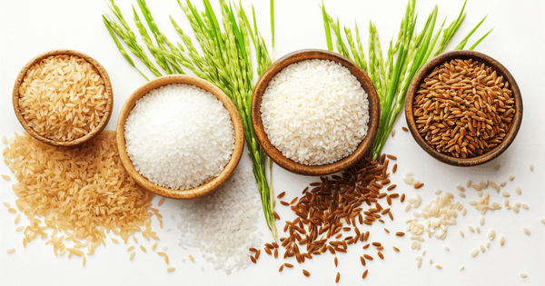 もち麦ご飯の糖質徹底解剖：白米との比較から健康的な食べ方、絶品レシピまで