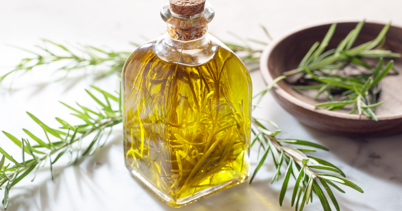 ローズマリーで蚊を寄せ付けない！天然アロマの虫除け効果と活用術