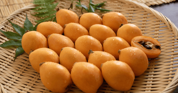 [ビワなつたより] 長崎びわの新たなエース！大玉でジューシーな夏の贈り物