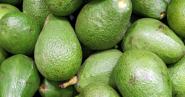 もう失敗しない！アボカドのおいしい見極め方と保存テクニック