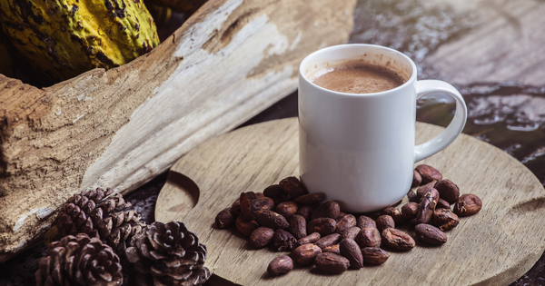 毎日ココアを飲むとどうなる？知られざる効果と最適な飲み方を徹底解説！