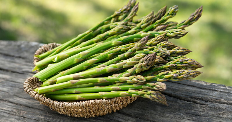 アスパラガス栽培ガイド：初心者でも簡単！育て方の基本と長く収穫するコツ