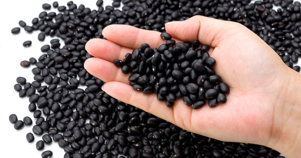 香ばしくて美味しい！黒豆茶の効能・作り方を徹底解説