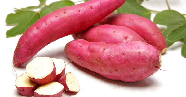 生で楽しむ、さつまいもの新発見！栄養・安全・レシピを徹底解説