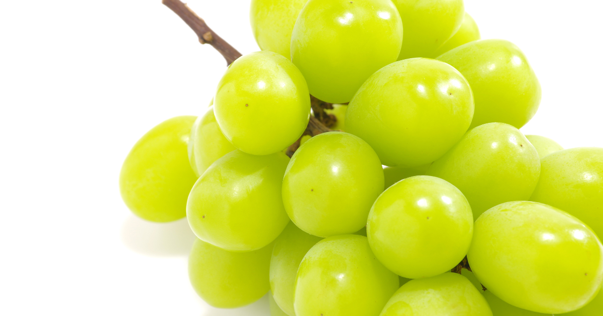 アレキサンドリア 葡萄