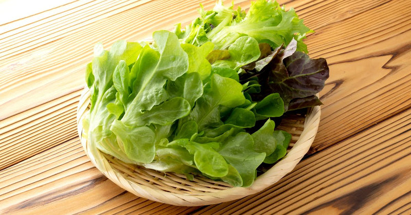 葉もの野菜 冷凍