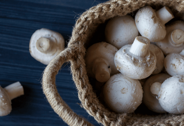 驚くべきマッシュルームの栄養価：健康を支える力とは