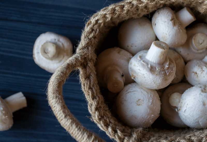 驚くべきマッシュルームの栄養価：健康を支える力とは