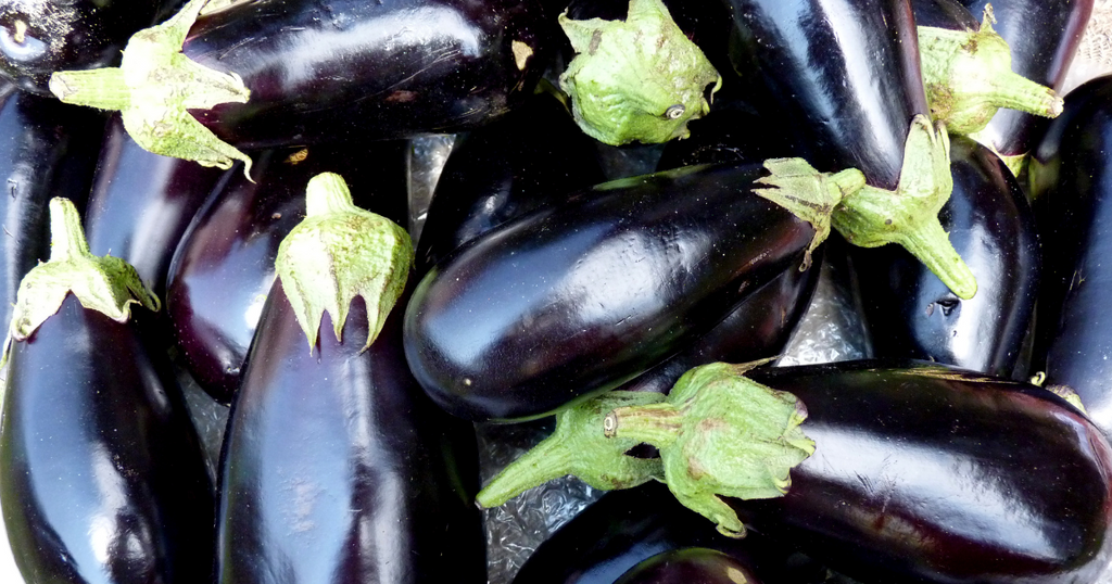 9月が旬！食卓を彩る秋の味覚と夏野菜