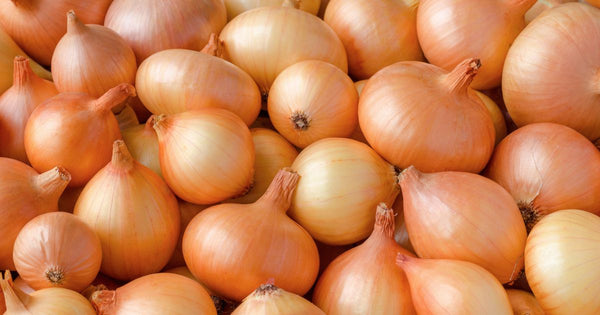 エシャロット代用