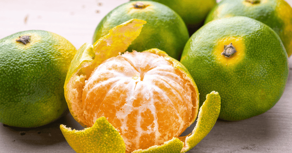 三ヶ日みかん：旬の時期と美味しさの秘密