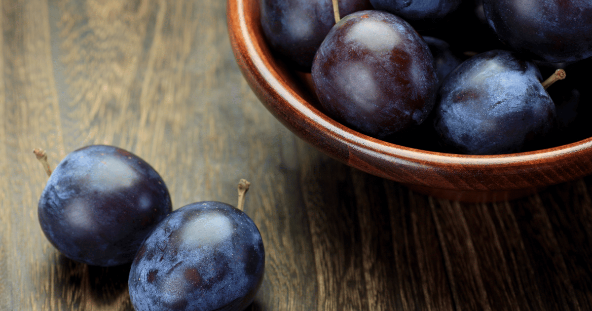 プルーン結実への道：実がなるまでの栽培ガイド