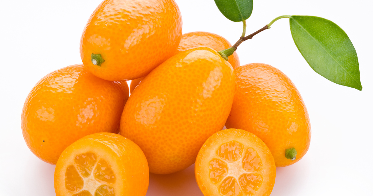 金柑をまるごと楽しむ！プロが教える美味しい食べ方と活用レシピ