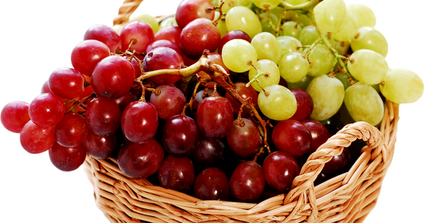 【ぶどう】皮ごと食べてOK？選び方からメリット・注意点まで徹底解説