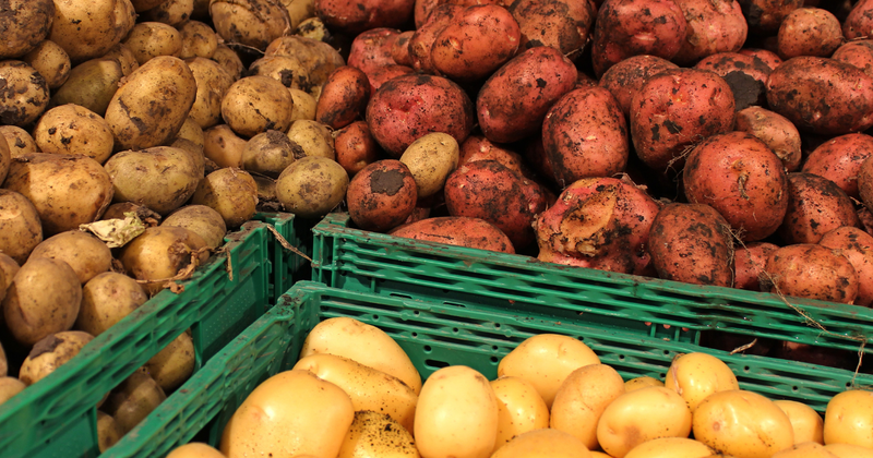 芋の種類：知っておきたい栄養、品種、調理法