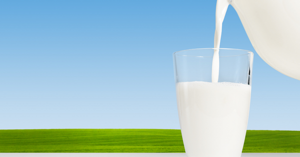 未開封牛乳、賞味期限切れでも飲める？安全な期間と見極め方、保存方法を徹底解説