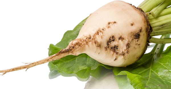 糖尿病の方も安心？てんさい糖の秘密と賢い選び方