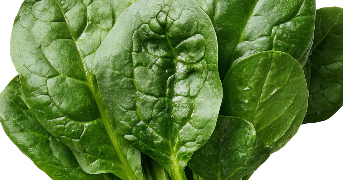 ビタミン菜（つけな）完全ガイド：栄養満点な育て方から美味しい食べ方まで