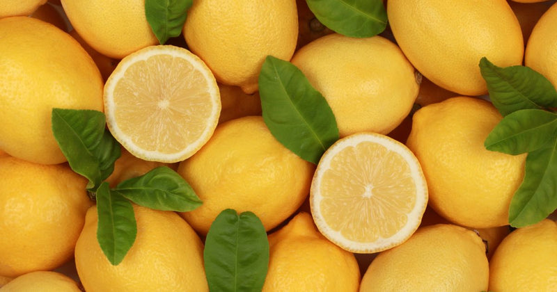 レモンの魅力：料理から美容まで、その多彩な活用法