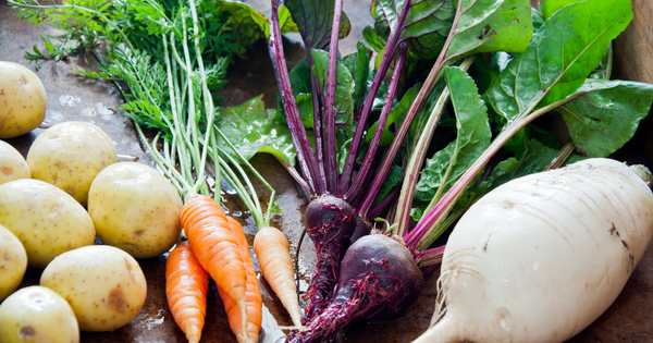食卓を豊かにする根菜類：種類、栄養、選び方完全ガイド