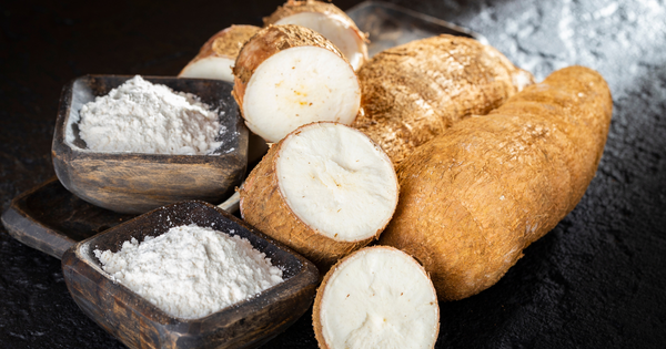 キャッサバとは？特徴・栄養・タピオカとの関係から安全な食べ方・栽培方法まで徹底解説！