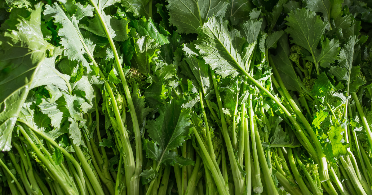 のらぼう菜の魅力：歴史、特徴、育て方からレシピまで徹底解説【家庭菜園にも最適】