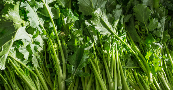 のらぼう菜の魅力：歴史、特徴、育て方からレシピまで徹底解説【家庭菜園にも最適】