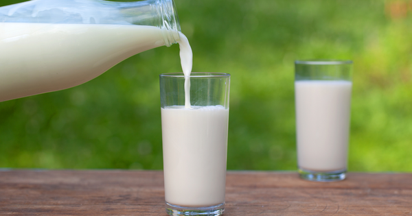牛乳は体に悪いと言われる科学的根拠は？メリット・デメリットと飲まない方がいい人の特徴、代替ミルクを徹底解説