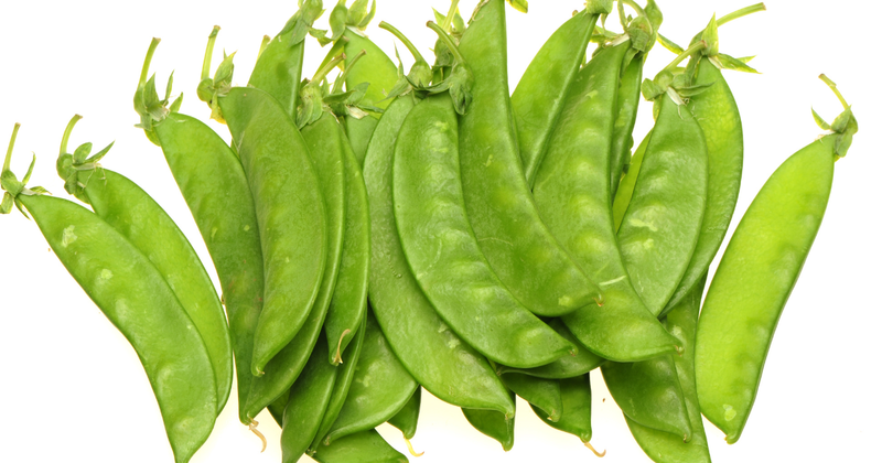 きぬさやの栄養と効果：食卓を彩る緑黄色野菜の魅力徹底解剖