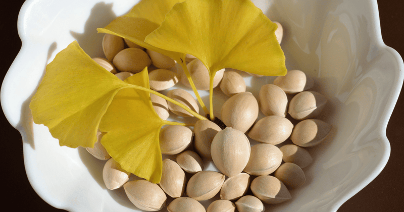 銀杏を一年中楽しむ！殻ごと冷凍保存で風味を逃さないプロの技