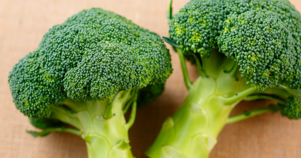 新鮮でおいしいブロッコリーを見分ける！選び方のポイント